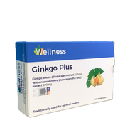 Wellness Ginkgo Plus - Ginkgo Plus Ashwagandha for Brain Memory and Blood Circulation