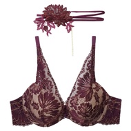 Annebra บราเสริมทรง บราลูกไม้ ตะขอหลัง คอวี มีโครง มีฟองน้ำ พร้อมสร้อยโชคเกอร์ Harness Choker Push U