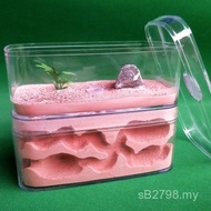 Nest Ant Nest Castle D 4MUX