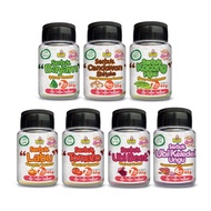 Rush Baby Food Seasoning Powder Serbuk Perasa Makanan Bayi Vegetable Set (7m+)