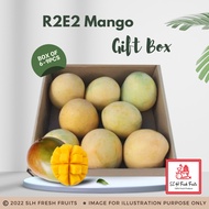 SLH R2E2 Mango Gift Box (Box of 6-9pcs)(±5kg)