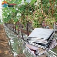 polycarbonate roofing sheet Outdoor Double Side Reflective Mylar Film Patch Greenhouse Agricultural