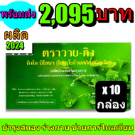 Y-Gink Ginkgo Biloba [10 กล่อง] วายกิง ใบแป๊ะก๊วยสกัด พร้อมส่ง