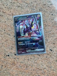 Pokemon Card（密勒頓EX SAR)