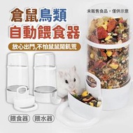 倉鼠餵食器 自動餵食器 小寵自動餵食器 小寵飼料碗 倉鼠/豚鼠/刺蝟/松鼠/鳥類餵食器 餵水器
