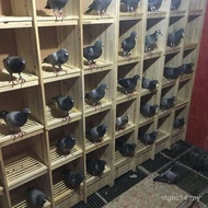 Kotak sarang kombinasi burung merpati LuF, sangkar burung merpati lumba, peralatan burung merpati ka