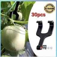 GANTUNGAN [ 30pcs ] Hanger Hangermelon 30pcs Packagemelon