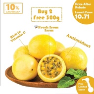 Sweet Panama Golden Rose Passion Fruit Vitamin C Antioxidant Buah Markisa Manis Kuning Emas 巴拿马玫瑰黄金百