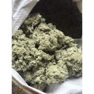 BỘT LÁ KHÚC NGUYÊN CHẤT - 100G