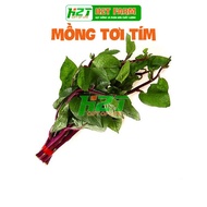 Red Malabar Malabar Seeds (purple Malabar spinach) -thegioihatgiong