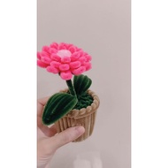 Bunga kawat bulu pot/ pipe cleaner flower/ fuzzy wire flower pot