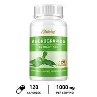 Andrographis Paniculata hữu cơ - 1.000 mg/Khẩu phần - Sức khỏe hệ miễn dịch