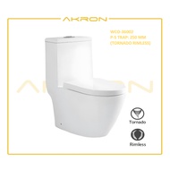[AKRON] One-piece WC Rimless Tornado/Rimless Flushing System Washdown &amp; Basin Series