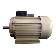 Motor Penggerak Dinamo 1 HP 2P 3 PH Wipro - Dinamo 1HP 2Pole 3 Phase