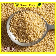 Green Food Millet / Millet Rice 500g/1KG
