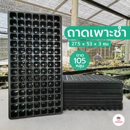 ถาด 105 หลุม ถาดเพาะชำ กล้าไม้ ถาดเพาะเมล็ด