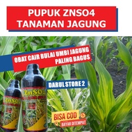 ml ZNSO Pupuk Mencegah Penyakit Bulai Daun Jagung - Obat Semprot Cair