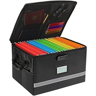 EXLIFBAG File Organizer, proof File Box with Lids, Important Document Organizer Box with Lock, Porta