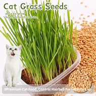 Organic Pet Cat Grass Seeds for Planting Vegetables Plants (40 Seeds) Hydroponic Plant Seeds Hairbal