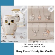 ✨✨現貨發售✨✨  美國品牌Charmed Aroma x Harry Potter Hedwig Owl Candle 哈利波特 的貓頭鷹香薰蠟燭