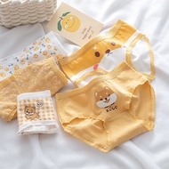 E67 Cute Underwear Shiba Inu Set Comfortable To Wear There Are Many Designs Choose From.