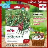 เมล็ดพันธุ์ผัก ศรแดง 🚩 เมล็ดผักสวนครัว เมล็ดพันธุ์คุณภาพ ผักกาดเขียวน้อย ผักชี ผักกาดขาว พริก มะเขือ