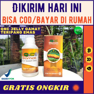 QnC Jelly Gamat 100% Terlaris - Q n C Jely Jeli Gelly Tripang Emas Gnc Gold G Obat Herbal