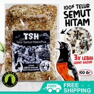 SEMPATI TSH Telur Semut Hitam Pakan Burung Serbuk Telur Pua Poa Pengganti Kroto Pakan Makanan Burung