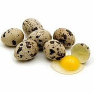 Telur puyuh / Telor puyuh Mentah - 250gr - 1/4 kg ,.