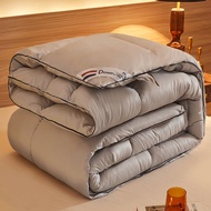 New White Goose Down Duvet Winter Thick Blanket Insulation Blanket Spring And Autumn Blanket Air Con