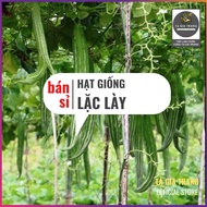 [Wholesale] - Luffa Seeds (Lac Le - Japanese Luffa)