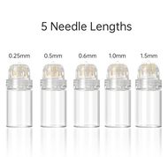 Beauty Gold Micro Needle Facial Roller 20 Needle Direct Plug-In Seal Micro Needle Pox Pits Acne Prin