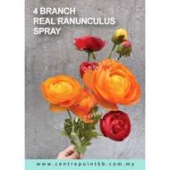 4 Branch Real Ranunculus Spray