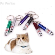 4mW 2-in-1 Keychain Red Laser Pointer & LED Light Pen + Torch Cat Dog Toy No Battery