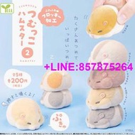 【可開發票】日本正版YELL 第2彈 植絨倉鼠疊疊樂扭蛋 重疊荷蘭鼠玩具生日禮物