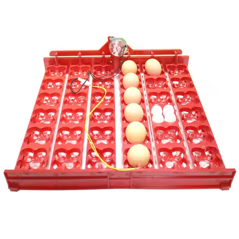 36 Eggs /144 Quail Eggs Incubator Tray Chickens 1/240 Or 2.5 r/min Ducks And Pigeons&Other Birds Par