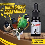 Inti G-Spot | Gspot G Spot Vitamin Suplemen Penggacor Burung Murai