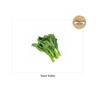 Sayur Kailan Cameron 金马伦芥兰 - Cameron Highlands