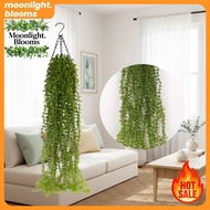 Artificial Plastic Hanging Vines - Hanging Home Decoration