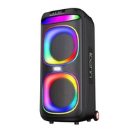 DENN PBS-K208B(H) 8" x 2 AC/DC Partybox Speaker with 1 Handheld Microphone