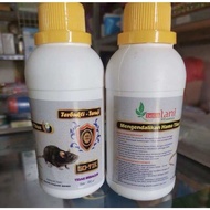 GOTIK Obat Tikus Sangat Ampuh Untuk Kebun Sawah dan Rumah