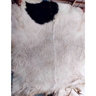 CODE C47Q super jumbo dry goat skin drum etc