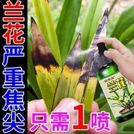 有機肥 花肥 開花肥 肥料 氮磷鉀 磷鉀肥 磷酸二氫鉀 蘭花黃葉專用營養液蘭花黃葉長黑斑空根爛根軟腐病免稀釋有機肥料