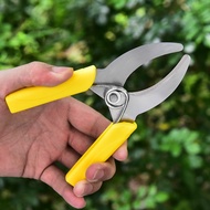 Scissors to cut tree bark, scissors with serrated blade to cut tree bark