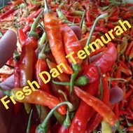 MERAH Red Cayenne Pepper Jablay Fierce Devil 1kg