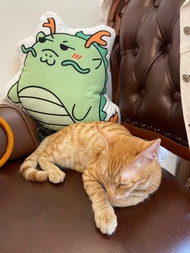 Yitiart 龍好運耍廢抱枕 辦公室 午睡枕 靠背 枕頭 可愛 母親節