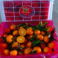 jeruk santang madu 1 keranjang buah