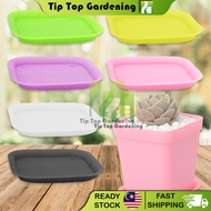 (SAUCER ONLY) COLORFUL PLASTIC SAUCER PLANTER FOR SUCCULENT MINI SQUARE POT