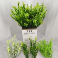 Rosemary Branch, Green Grass 5 Branches 35Cm High Garden Decor Home Decoration Birthday Accessories