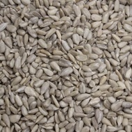 MATAHARI SUNFLOWER SEED KUACI/ SUNFLOWER SEED/ FLOWER SEED